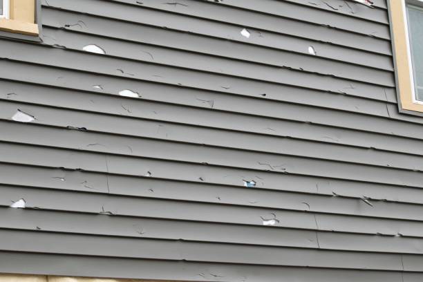 Siding Removal and Disposal in Lasalle, IL